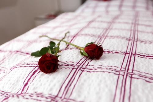 Pension Altes Burghotel - image 10