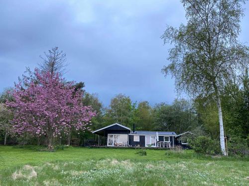  Cosy Country House With Beautiful View, Pension in Holbæk