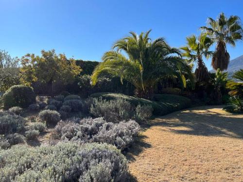 Villa et piscine au jardin typique méditerranéen