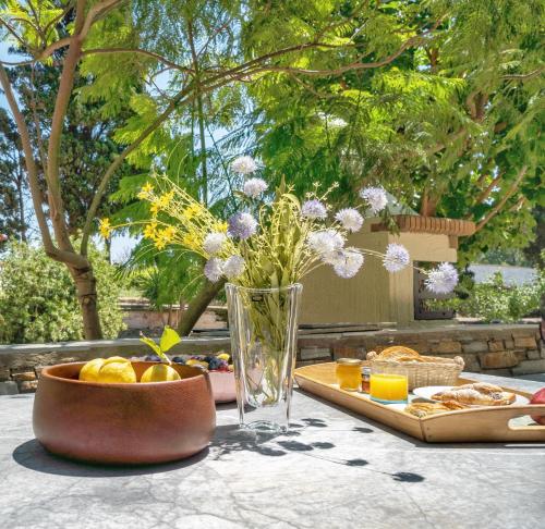 The Secret Valley of Chora - 5 mins to Beach gîte à louer Andros