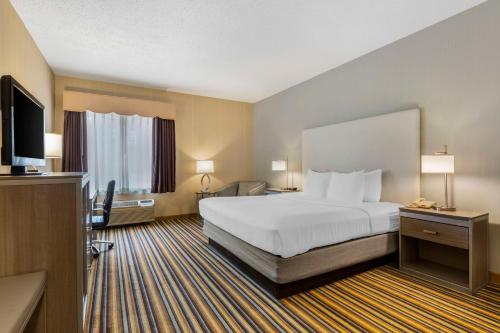 1 king bed