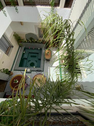 Riad magnolia privé