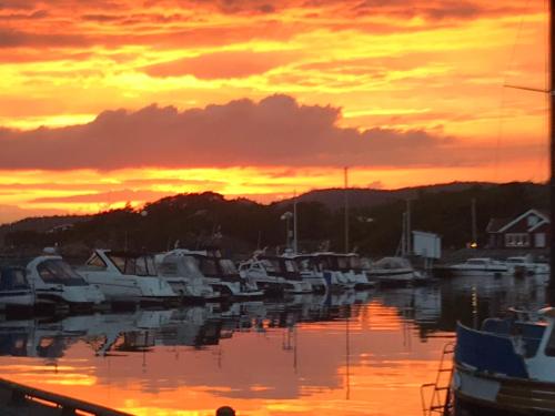 Ny gårdsleilighet i Nevlunghavn