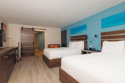The Cove Hotel Ascend Hotel Collection - image 9