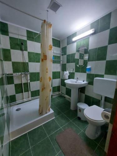 Bathroom, Pensiunea Raluca in Mahmudia