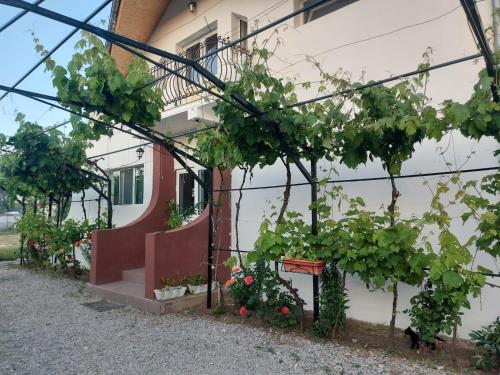 Pensiunea Raluca in มาห์มูเดีย