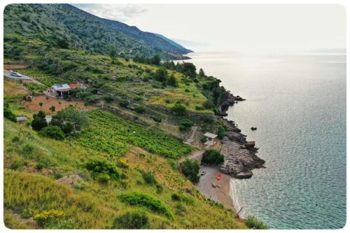 Holiday home Smokovlje - sea view and vineyard