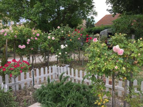 la ferme de tonton Jules 1