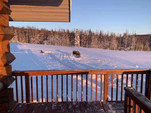 The Chena Valley Cabin, perfect for aurora viewing