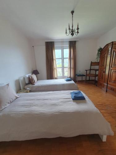 Golden Hill - Big rooms with Kitchen and Garden in Collina d'Oro