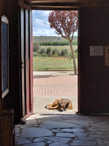 Albergue Rural Las Águedas