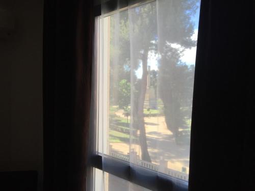 Hotel Castillo - image 10