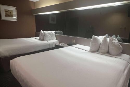 Microtel Inn & Suites by Wyndham Houston/Webster/Nasa/Clearlake in Nassau Bay, USA