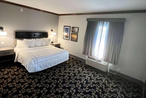 1 queen bed, 1 sofa bed