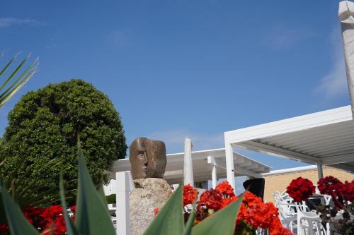 Hotel Parco Delle Agavi - image 3
