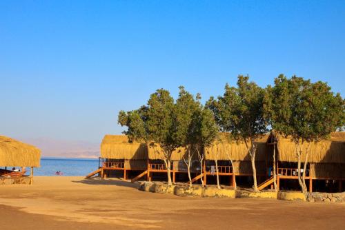 Relax Beach Camp in Nuweiba