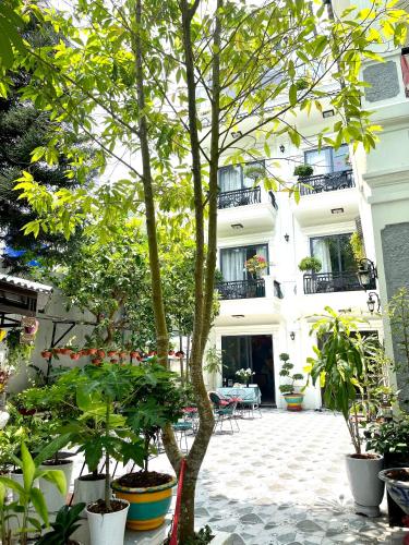 Lynh's Villa - 전망
