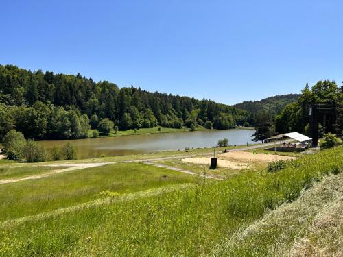 Apkārtne, Apartmán na kraji lesa Všemina (Apartman na kraji lesa Vsemina) in Všemina