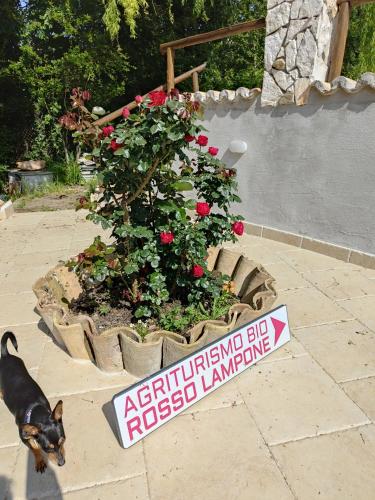  Agriturismo Rosso Lampone in Cerreto Laziale