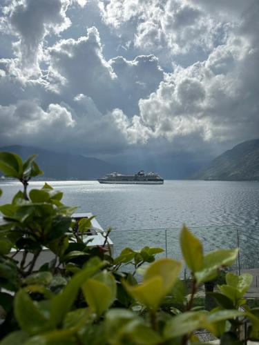 Duplex Kotor Ljuta with great views - image 4
