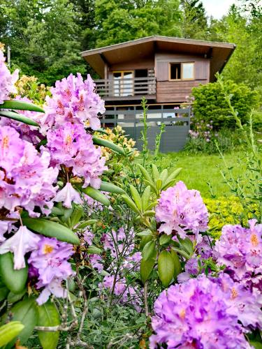 Chalet « à l’orée du bois »