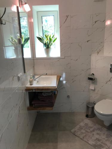 Casa de banho, Viesu nams Baņuta1 (Viesu nams Banuta1) in Saulkrasti