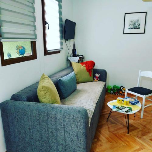 Facilities, Apartman PAVLE in Pluzine