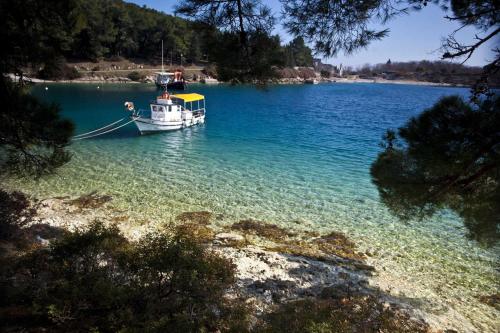 Exclusive Apartments Milahomes by the sea, boot mooring and private parking
