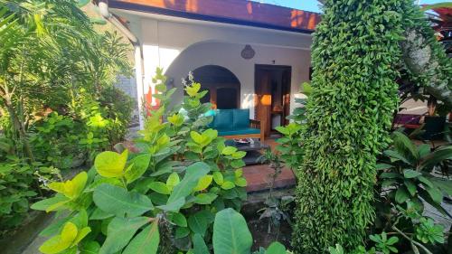 Catra homestay beach apartments near The Hungry Crocodile