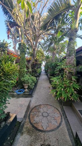 Catra homestay beach apartments near The Hungry Crocodile