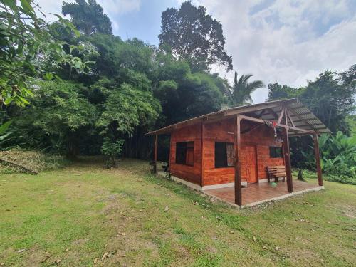 Into the Greens in Cartago