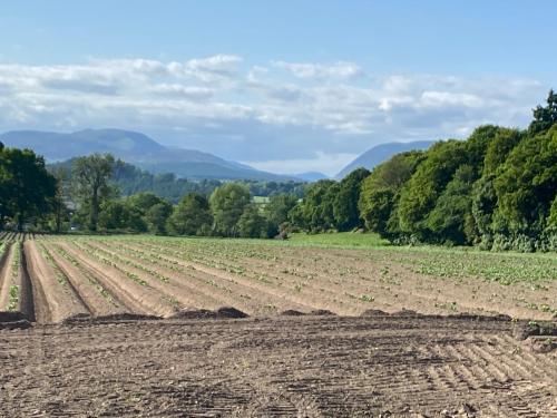Spacious cottage - walk to Crieff, Crieff (fotografie 5)