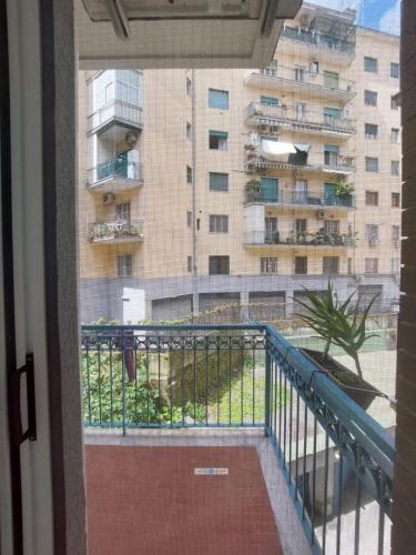 Casa Garzilli, Naples (photo 9)