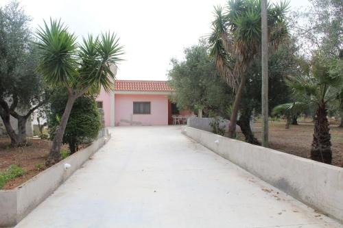  Casa Verde - Uliveto a 4 minuti dal mare in Castrignano del Capo