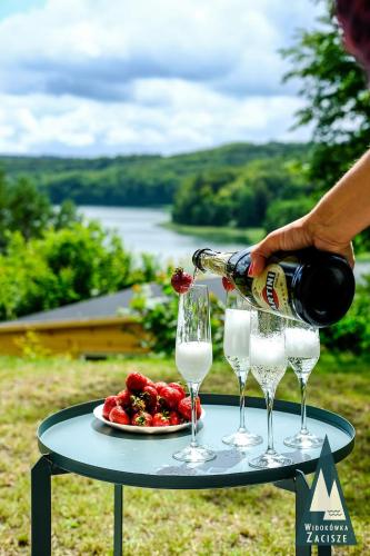 Widokówka Zacisze (Widokowka Zacisze) in Brodnica Dolna