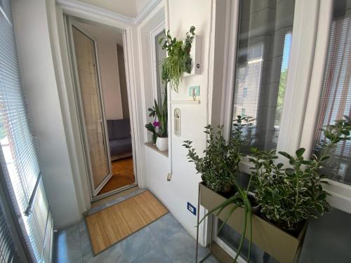 Maison de Amelie