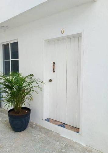 Cozy apartment king bed ac downtown in Cozumel, Mexico