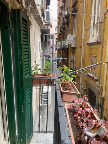Ginevra house, Napoli