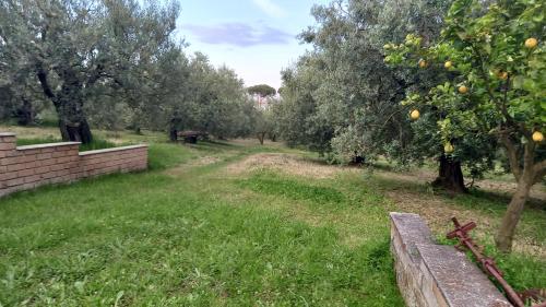  Domus Claudio in Villam, Unterkunft in Pomezia