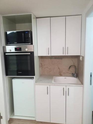 The Premier Apartment In RBS A in 벳세메쉬