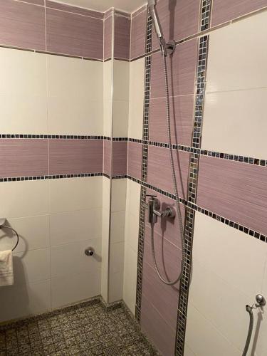 Shower, Appartement Yasin Meknes in Sbata