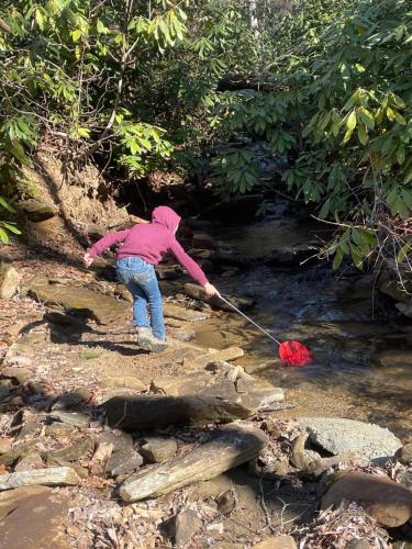 A Creekside Cottage 7 acres, Sliding Rock, Waterfalls & Hiking in Old Fort, USA