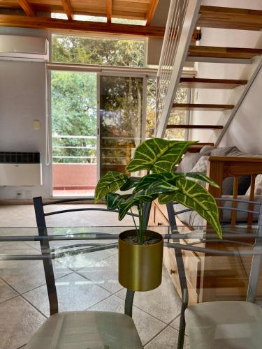 Two-Bedroom Apartment image 7