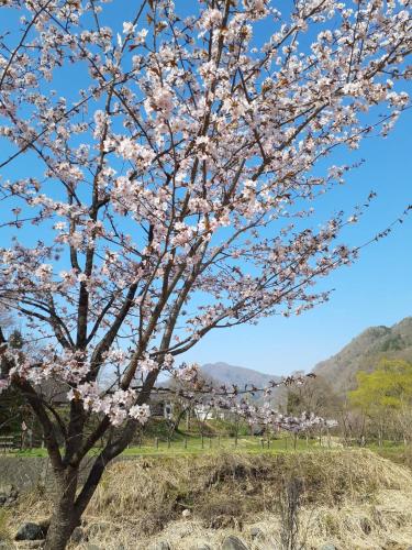 HAKUBA IKEDA LIFE KAN APARTMENTS