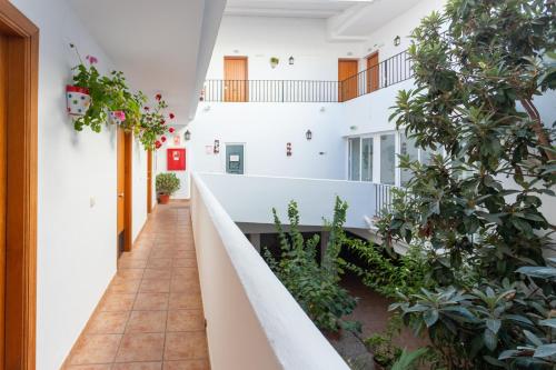 Hotel Oasis Atalaya - image 6