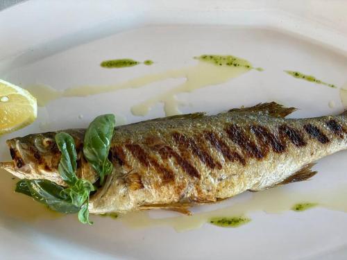  Eat sleep and wander Bosa historic central house in Bosa