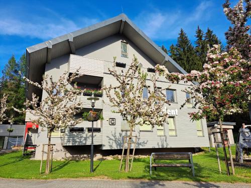 Wellness Apartment Josefina - Free Grotta Spa wellness Harrachov