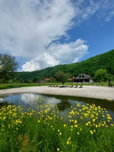 Ciucea185 -Casa din Livadă - Location saisonnière - Ciucea