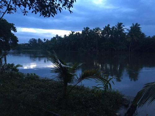 Joan's Homestay Near Kumarakom, Aleppey, Marari