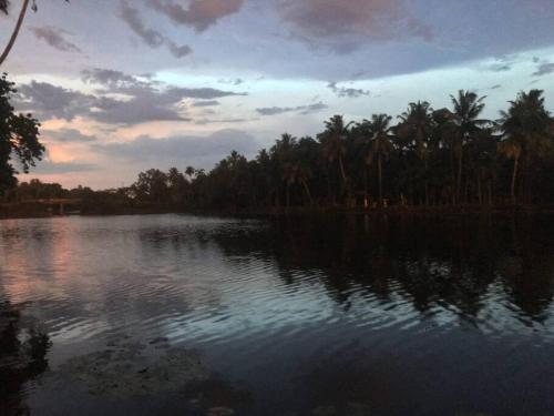 Joan's Homestay Near Kumarakom, Aleppey, Marari